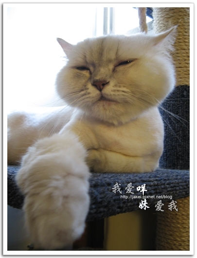 2010-05 球球11.jpg 2010-05 球球11.jpg