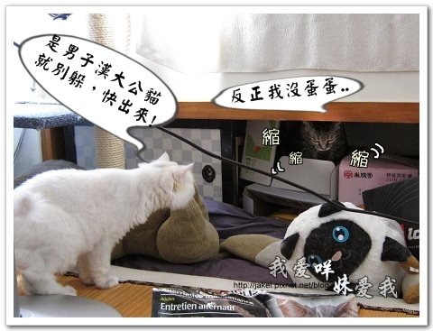 2010-07-11 飼料與電剪 09.jpg 2010-07-11 飼料與電剪 09.jpg