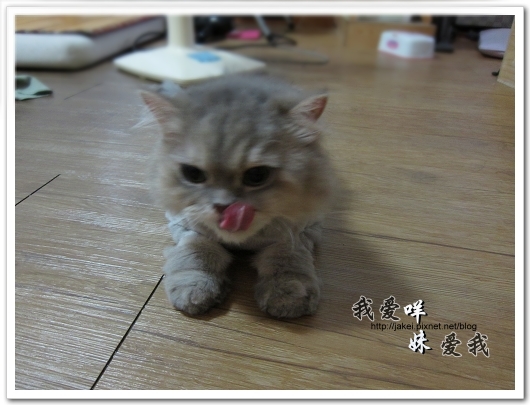 100522 咩妹洗牙 15.jpg 100522 咩妹洗牙 15.jpg