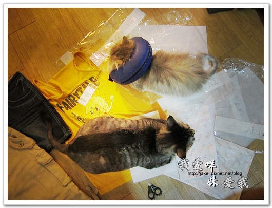100521 LATIV 開箱 10.jpg 100521 LATIV 開箱 10.jpg