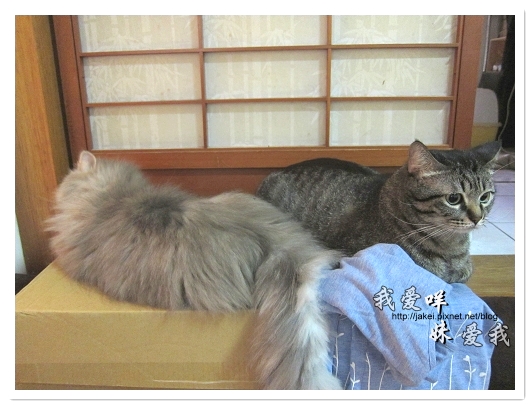 100501 分享 01.jpg 100501 分享 01.jpg