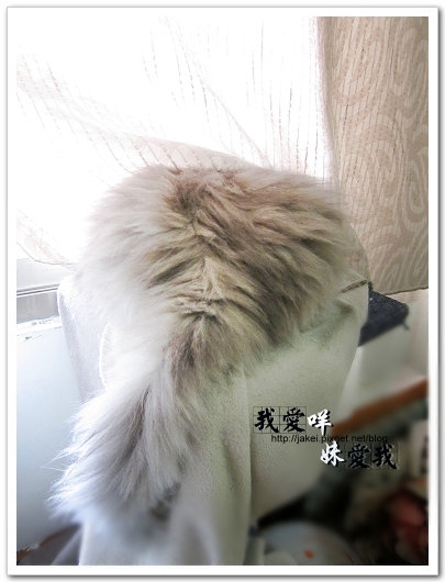 100320 一屁股1.jpg