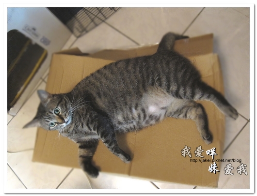 100501 分享 14.jpg 100501 分享 14.jpg