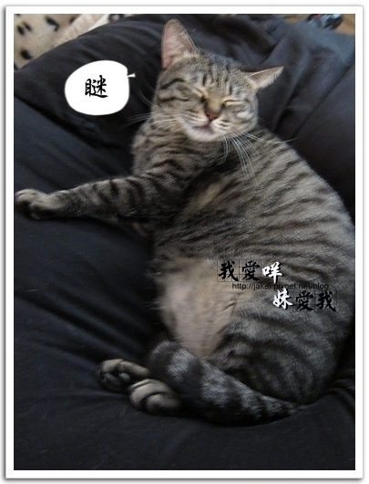 100326 班克愛懶骨頭 02.jpg
