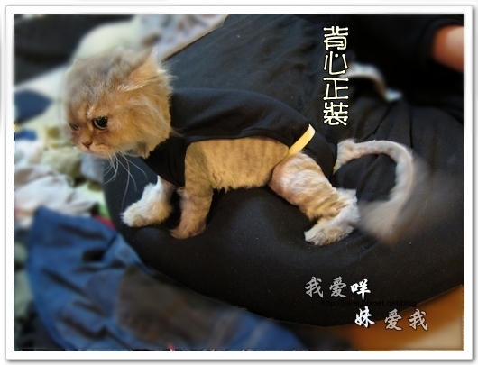 100514 不要舔肚子20.jpg 100514 不要舔肚子20.jpg