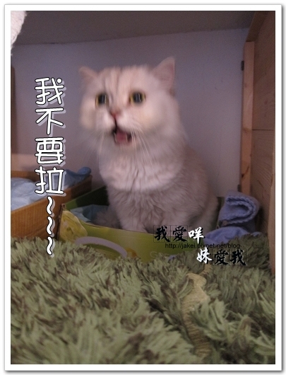 100320 球球來作客 17.jpg