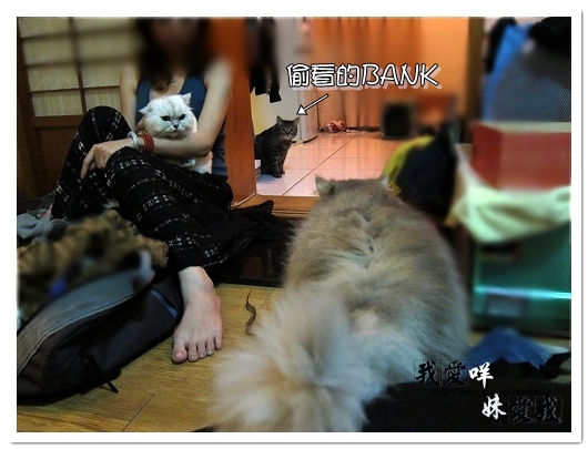 100320 球球來作客 02.jpg