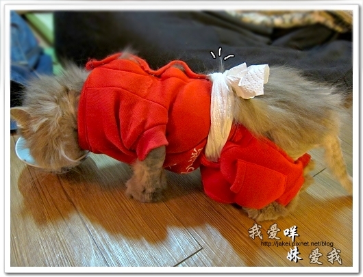 100514 不要舔肚子01.jpg 100514 不要舔肚子01.jpg