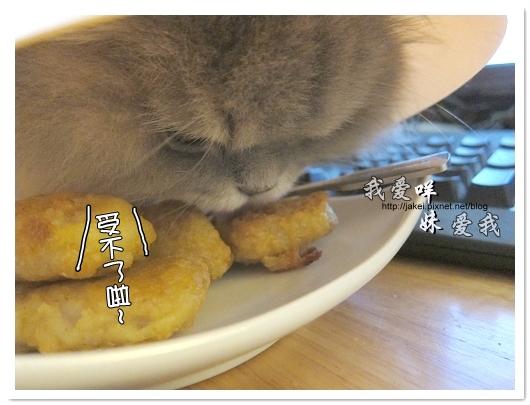 100426 紅龍雞塊 14.jpg