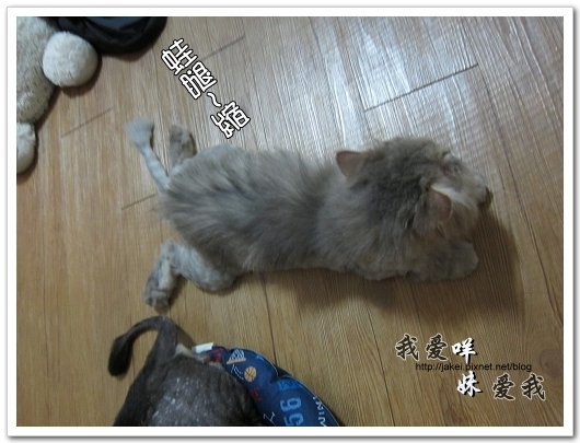 100522 咩妹洗牙 19.jpg 100522 咩妹洗牙 19.jpg