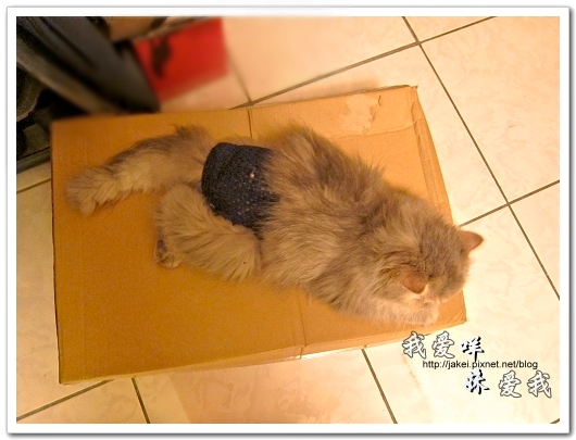 100504 內褲咩 02.jpg 100504 內褲咩 02.jpg