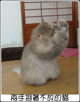 運動吧~咩妹 特寫6.jpg