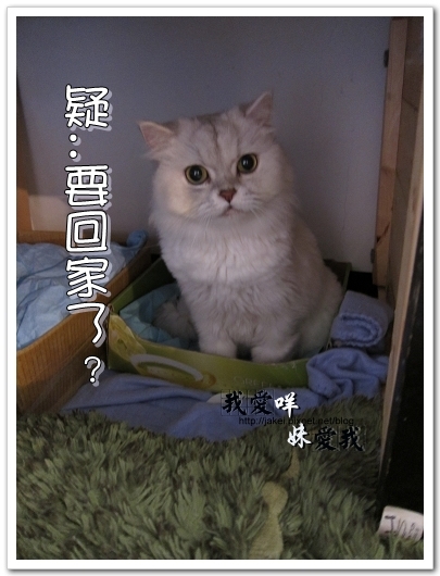 100320 球球來作客 16.jpg