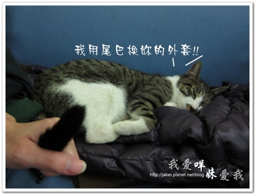 ian家 ian家