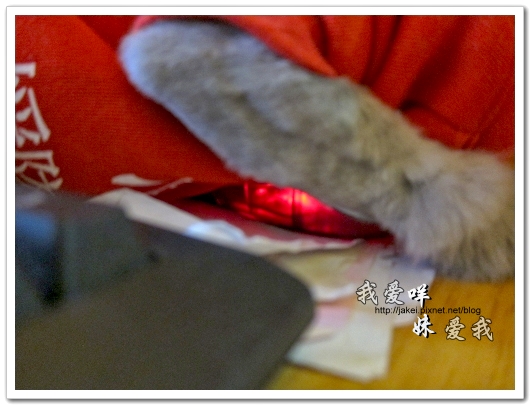 100514 不要舔肚子17.jpg 100514 不要舔肚子17.jpg