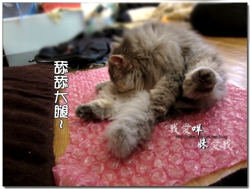 100403 翹腳咩抬腳 04.jpg