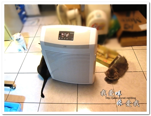 100728 大王清淨機 26.jpg 100728 大王清淨機 26.jpg