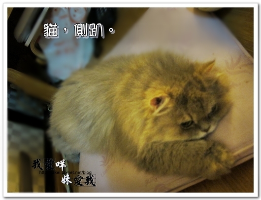 100320 慵懶 06.jpg