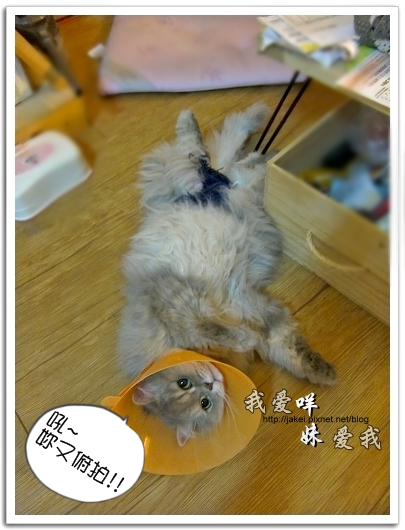 100504 內褲咩 10.jpg 100504 內褲咩 10.jpg