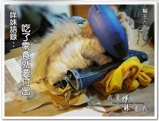 100521 LATIV 開箱 15.jpg 100521 LATIV 開箱 15.jpg