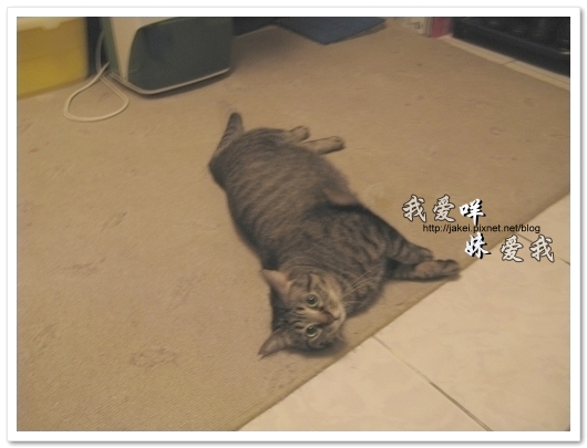 100427 在廚房時候 01.jpg