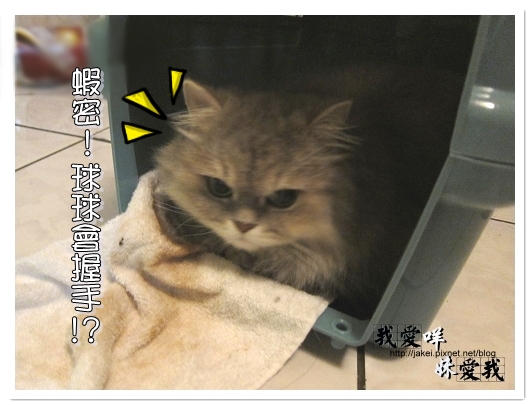 100320 咩的內心戲 02.jpg