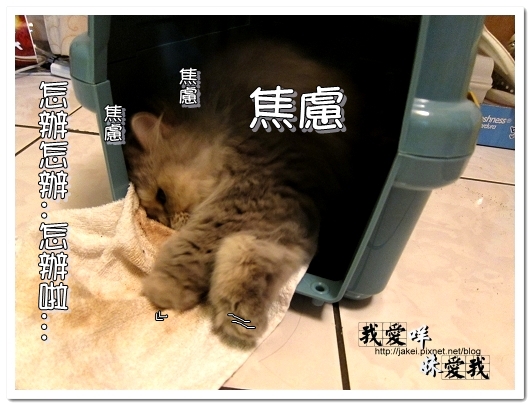 100320 咩的內心戲 08.jpg