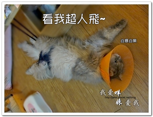 100504 內褲咩 12.jpg 100504 內褲咩 12.jpg