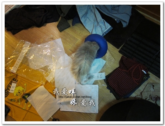 100521 LATIV 開箱 05.jpg 100521 LATIV 開箱 05.jpg