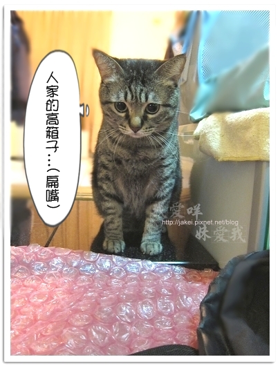 100423 有個高箱子 14.jpg
