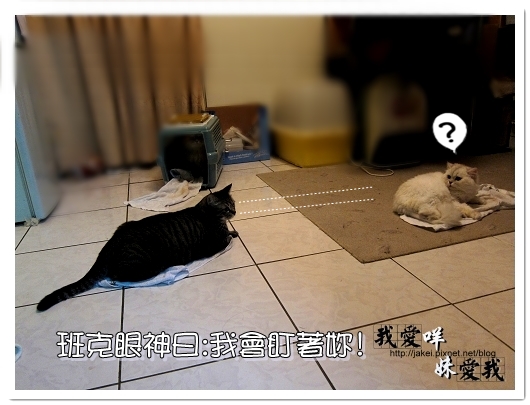 100320 球球來作客 06.jpg
