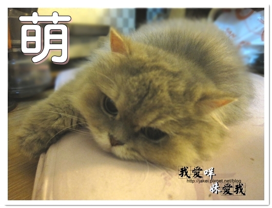 100320 變臉咩 2.jpg