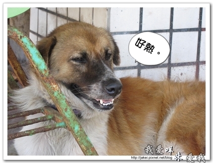 2010-07_移動 13.jpg 2010-07_移動 13.jpg