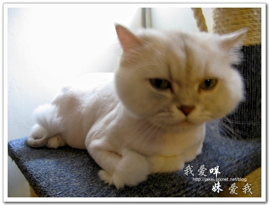 2010-05 球球06.jpg 2010-05 球球06.jpg