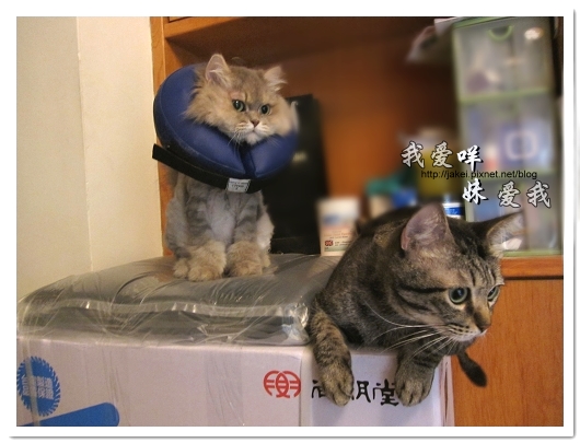 100728 大王清淨機 07.jpg 100728 大王清淨機 07.jpg
