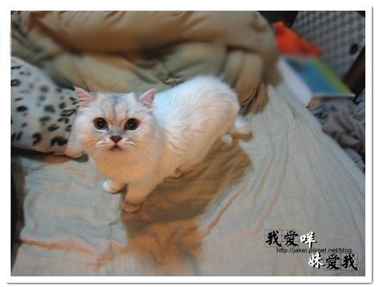 100320 球球來作客 01.jpg 100320 球球來作客 01.jpg
