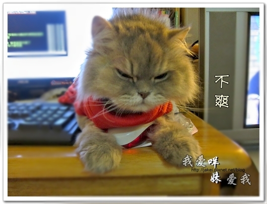 100514 不要舔肚子16.jpg 100514 不要舔肚子16.jpg