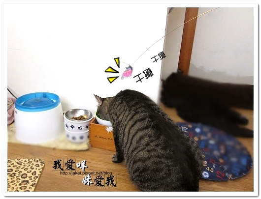 運動吧~班克 12.jpg