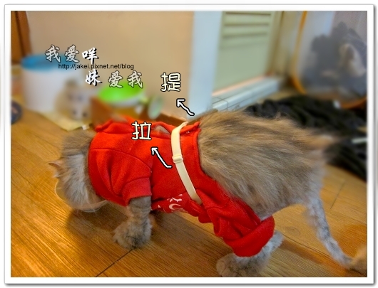100514 不要舔肚子10.jpg 100514 不要舔肚子10.jpg