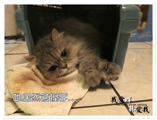 100320 咩的內心戲 03.jpg