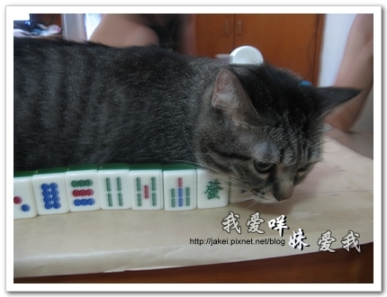 2010-07-04 麻將班 11.jpg 2010-07-04 麻將班 11.jpg