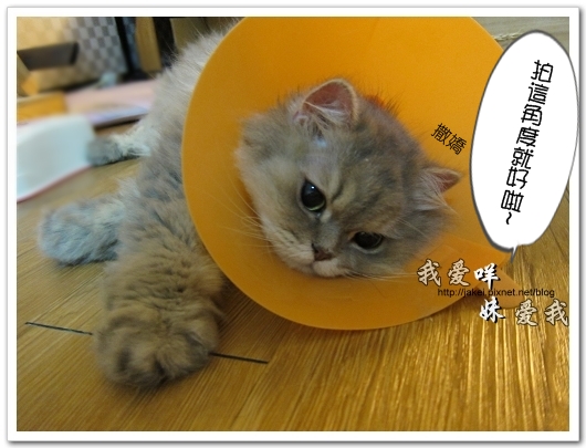 100504 內褲咩 09.jpg 100504 內褲咩 09.jpg
