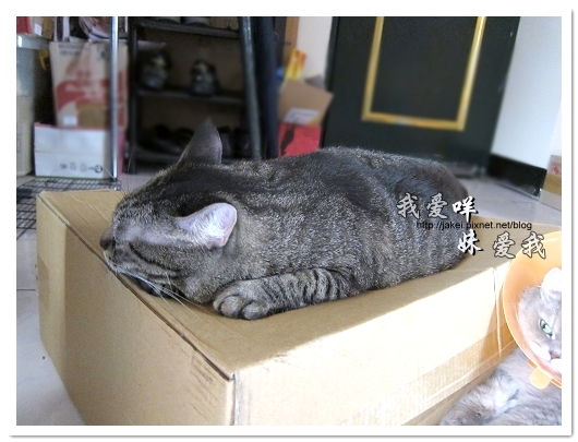 100501 分享 10.jpg 100501 分享 10.jpg