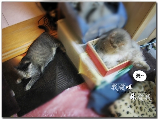100403 翹腳咩抬腳 01.jpg
