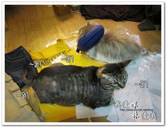 100521 LATIV 開箱 08.jpg 100521 LATIV 開箱 08.jpg