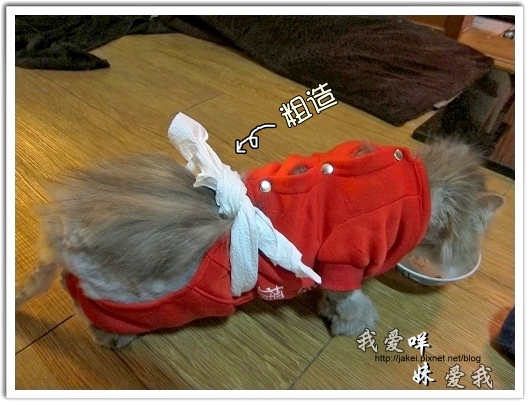 100514 不要舔肚子02.jpg 100514 不要舔肚子02.jpg