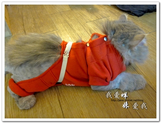 100514 不要舔肚子12.jpg 100514 不要舔肚子12.jpg