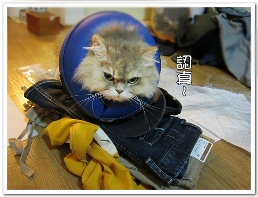 100521 LATIV 開箱 16.jpg 100521 LATIV 開箱 16.jpg