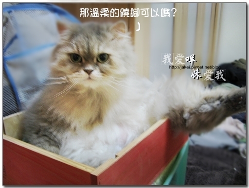 100403 翹腳咩抬腳 03.jpg