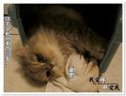 100320 球球來作客 11.jpg